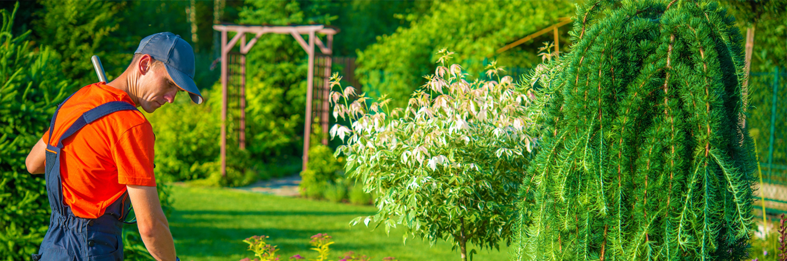 PROFESSIONE GIARDINIERE - PERCORSO ABILITANTE PER MANUTENTORE DEL VERDE