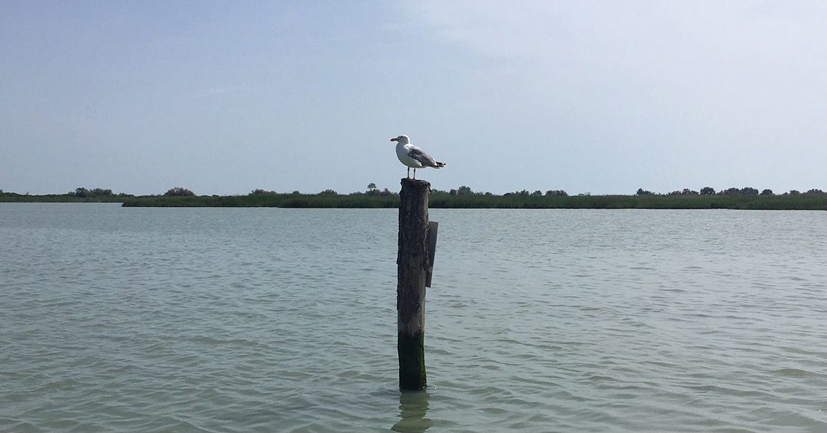 guida ambientale delta del po